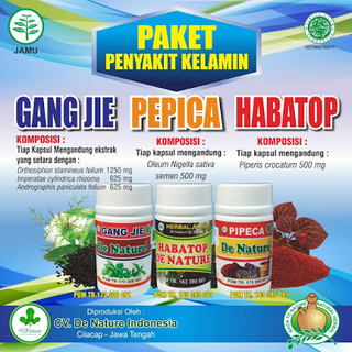 Illustration for article titled Obat Herbal Alami Varikokel